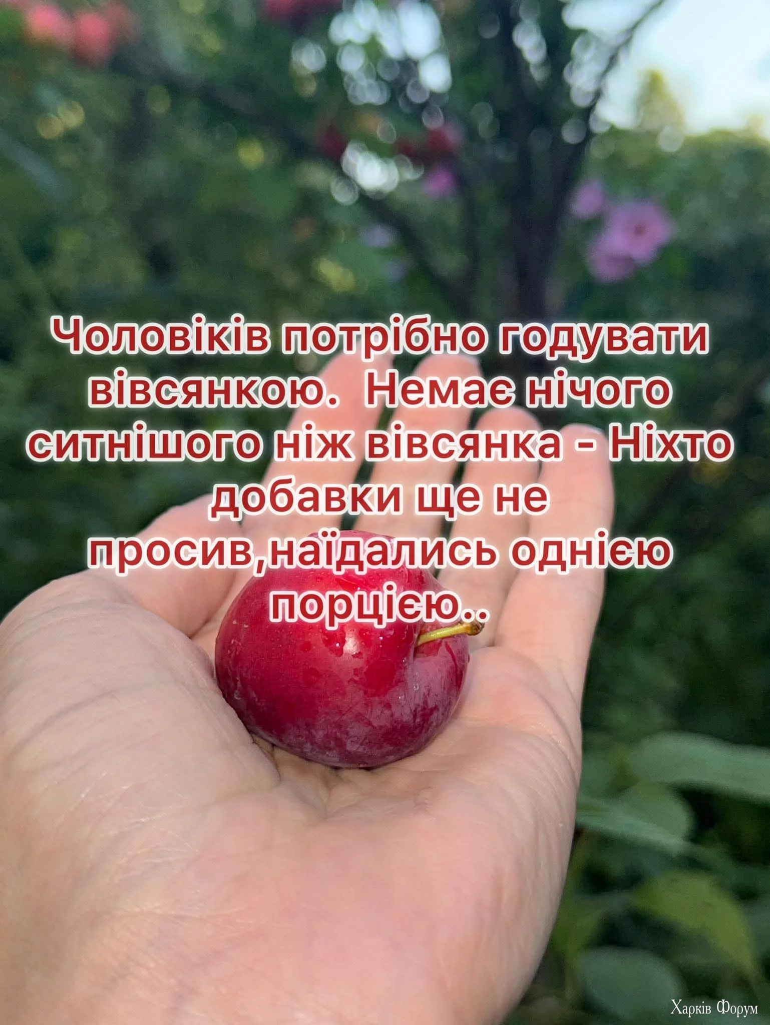 FB_IMG_1754504153911.webp