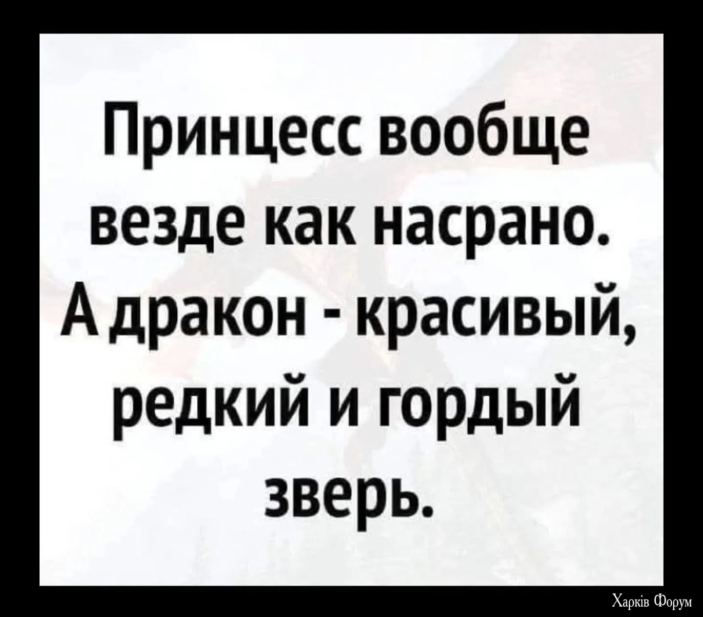 FB_IMG_1756533740115.webp