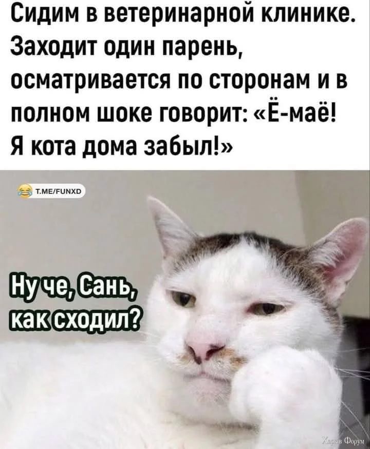 FB_IMG_1757051535659.webp