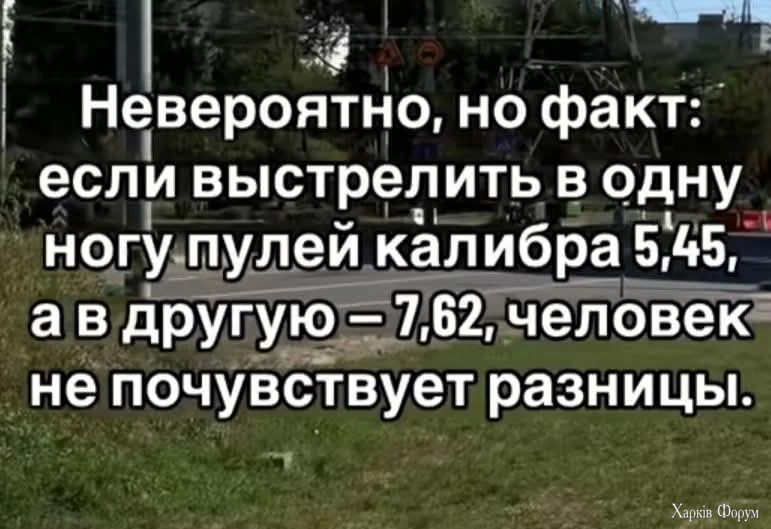 FB_IMG_1757186113603.webp