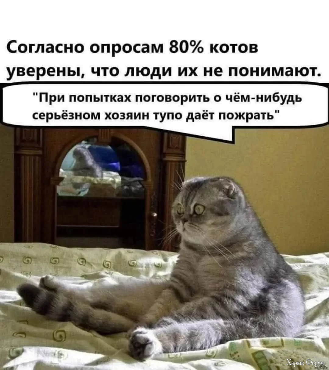 FB_IMG_1757660949659.webp