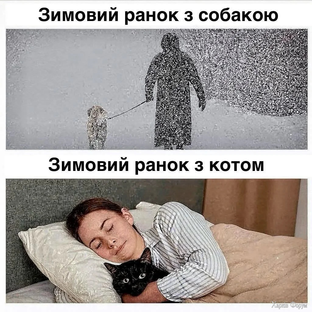 FB_IMG_1765378077478.webp