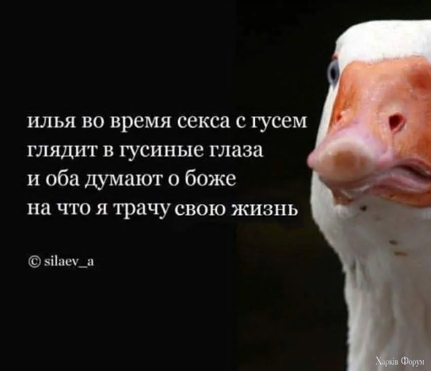 FB_IMG_1778922370122.webp