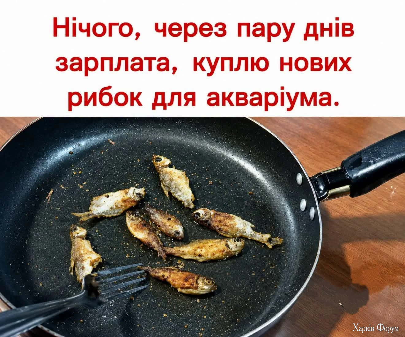 FB_IMG_1783237729863.webp