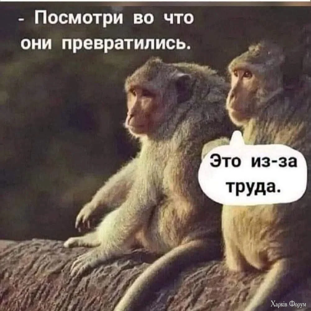 FB_IMG_1787746025862.webp