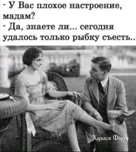 fba2427930a5e1c59b4c.webp