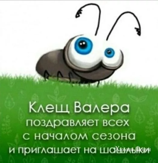 fba48fce1635b7bea9b02.webp