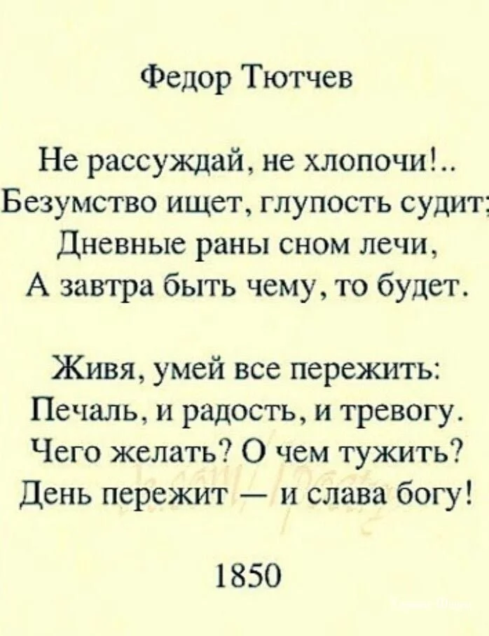 fba67f77bb6c039fc90.webp