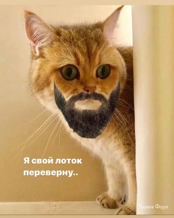 fbb50e6b938fddcc4a21.webp