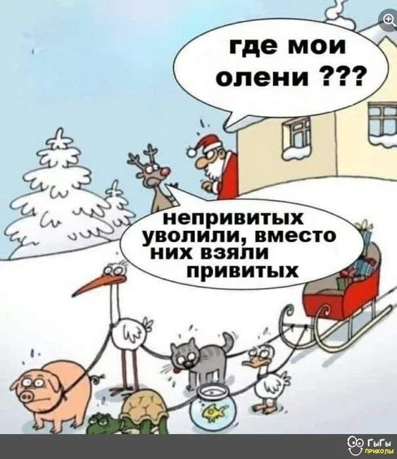 fbbeee164eaf2cc688ba02405b81fbdc.webp
