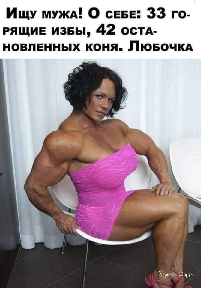 fbbef4a1241bd67d731d8d97.jpg