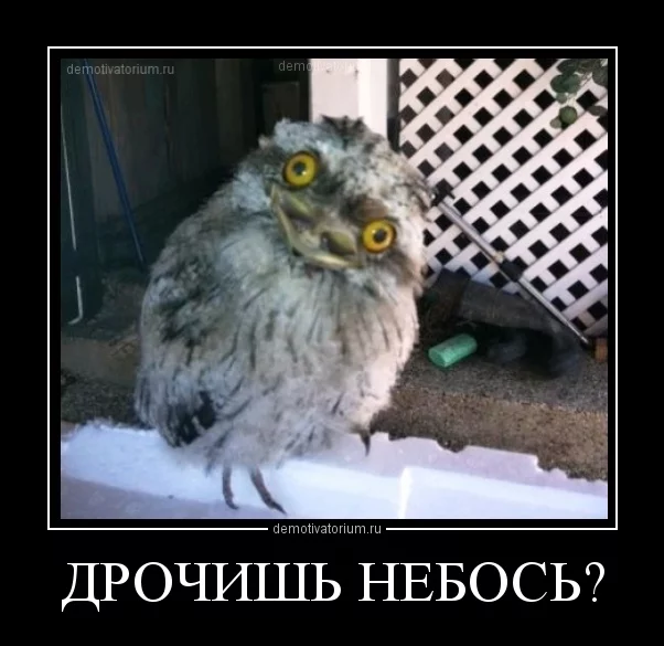 fbbj8d.webp