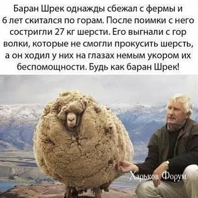 fbcd9018c40f32a97b5d.webp