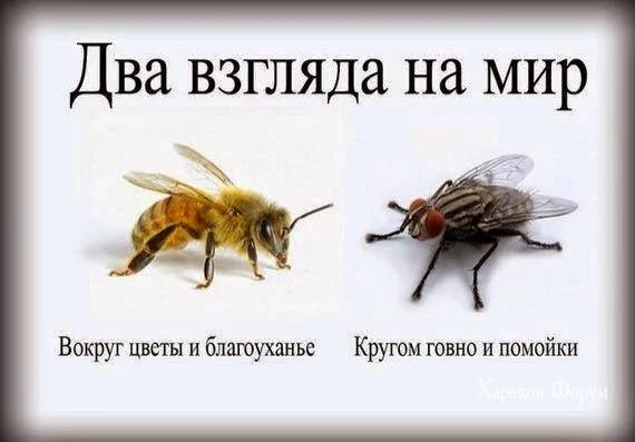 fbcf10b10ce388bd7cabf9.webp