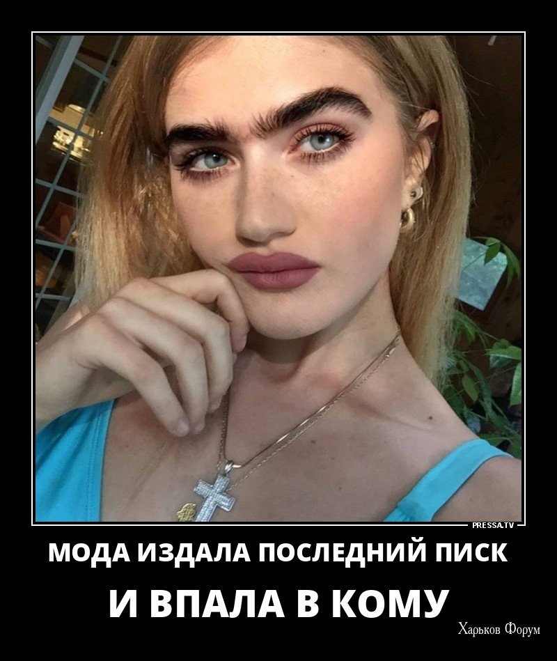 fbd2e644e560385ec17c5a.jpg