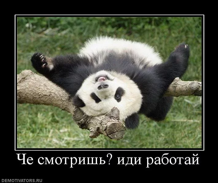 fbd5dg.webp