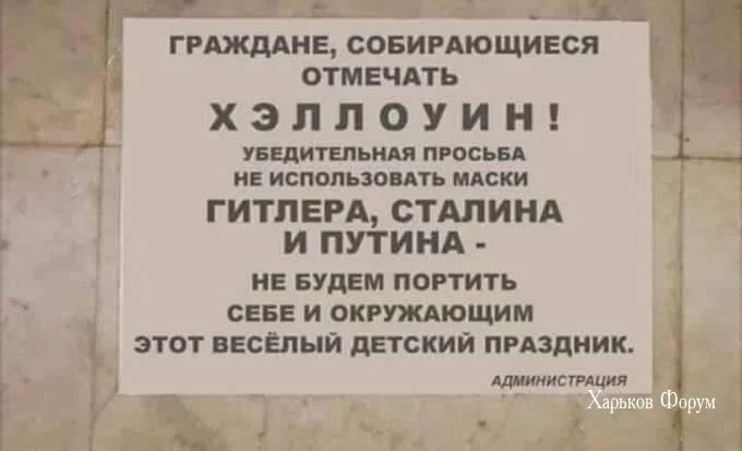 fbd65b88751820d0a54f1.webp