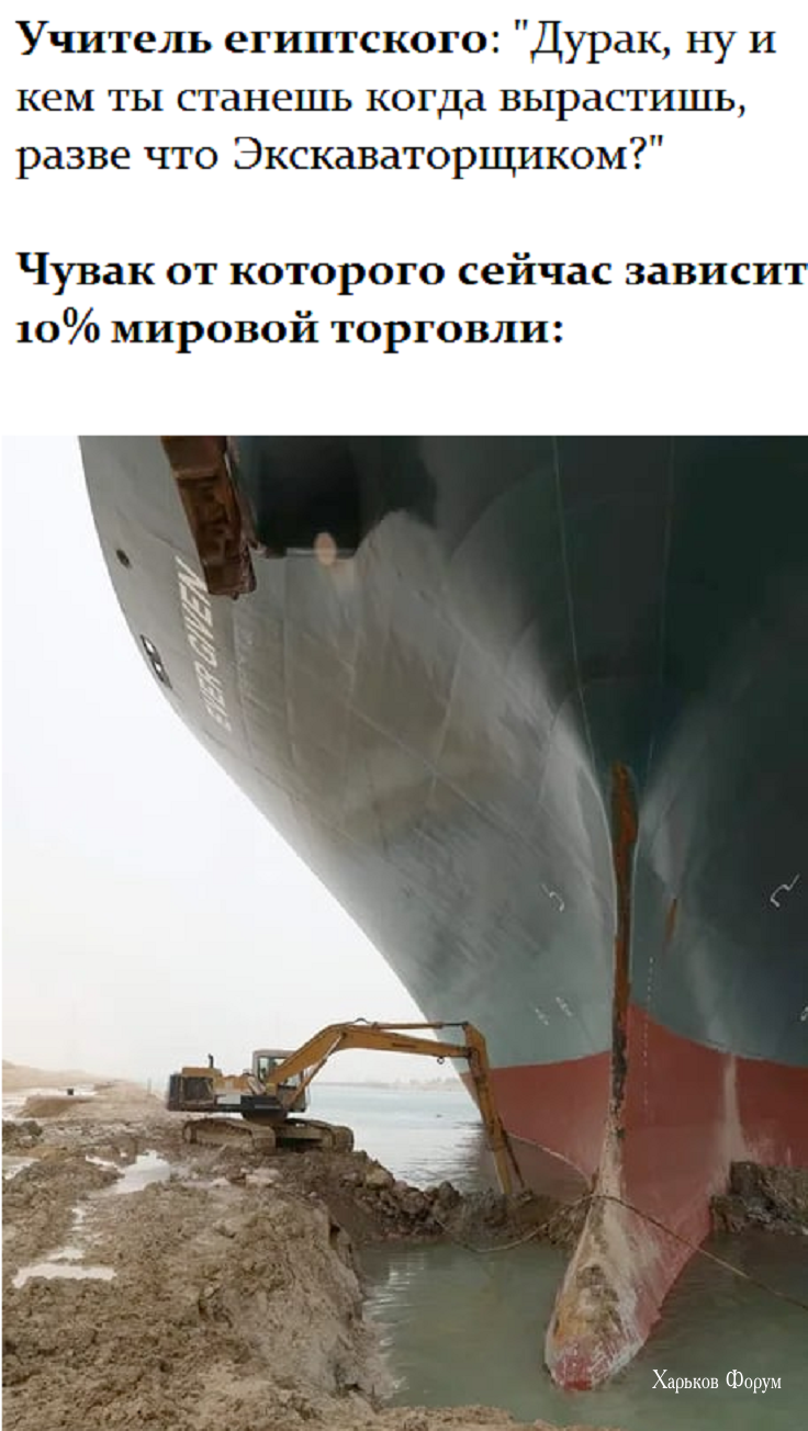 fbdf43db24fcb06920.png