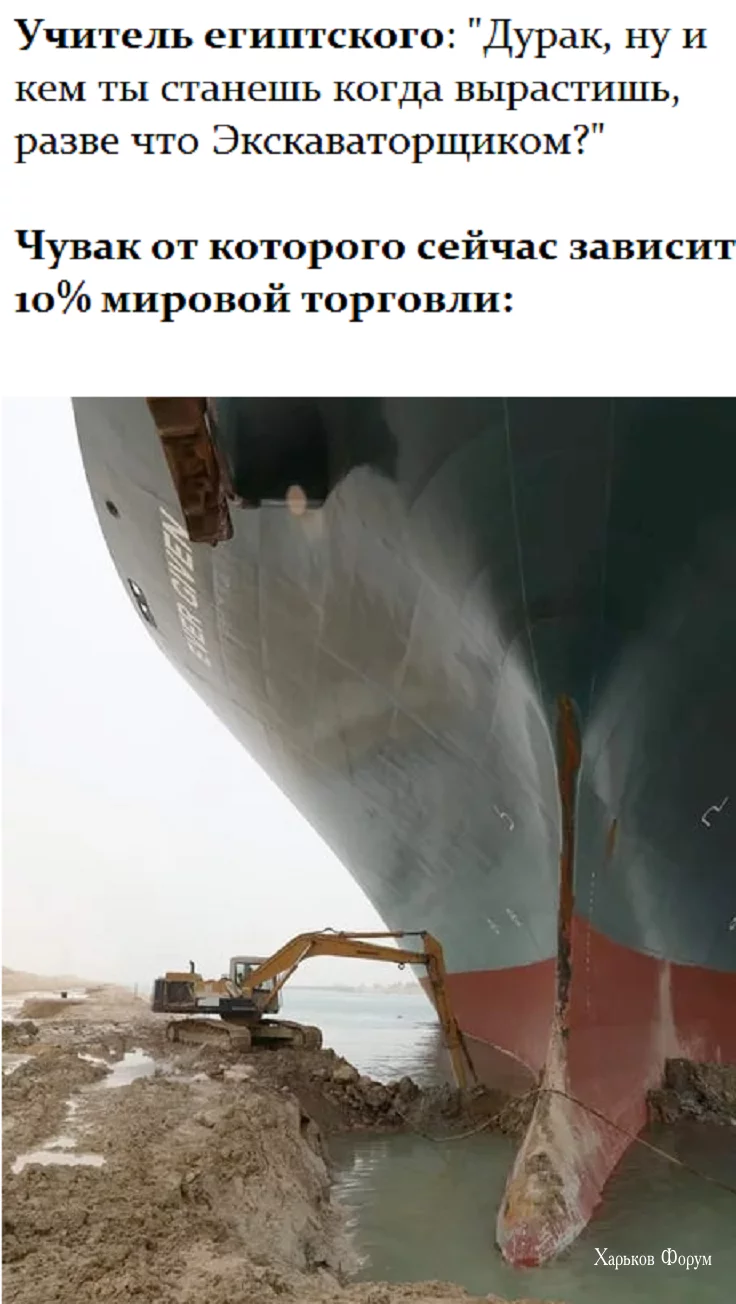 fbdf43db24fcb06920.webp
