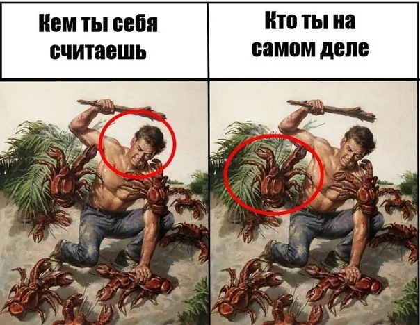 fbdfa6.webp