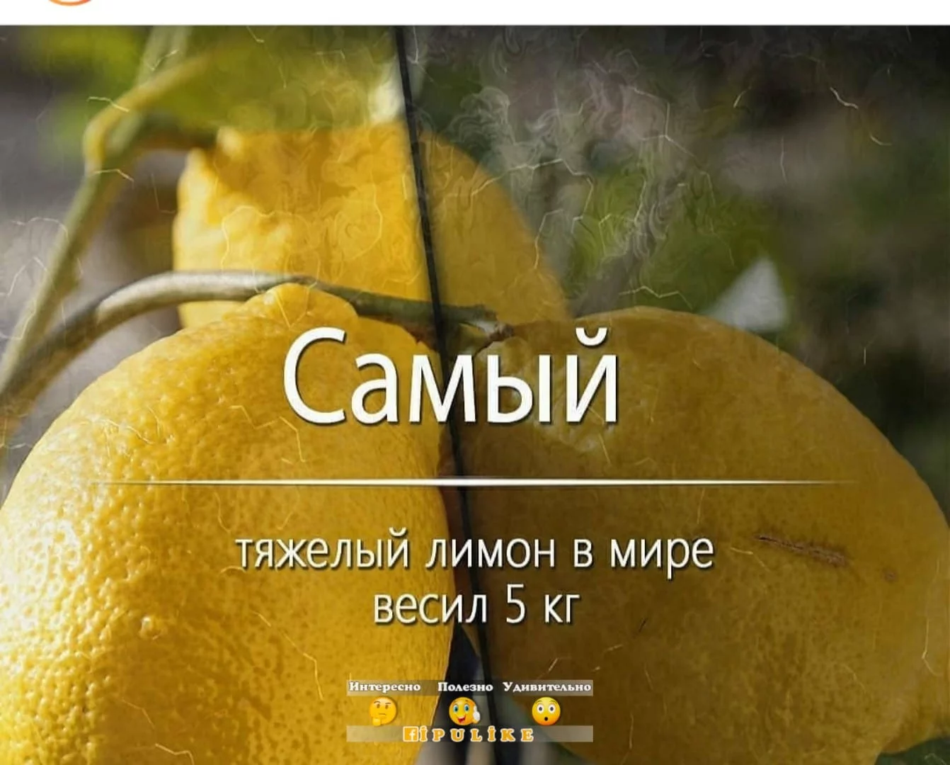 fbdjd4.webp