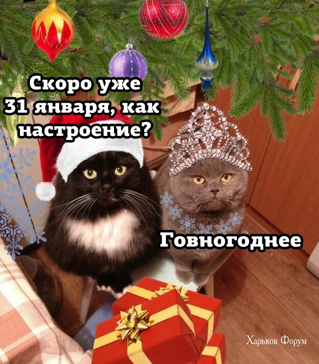 fbf79ed77ddd9c56049c0.webp