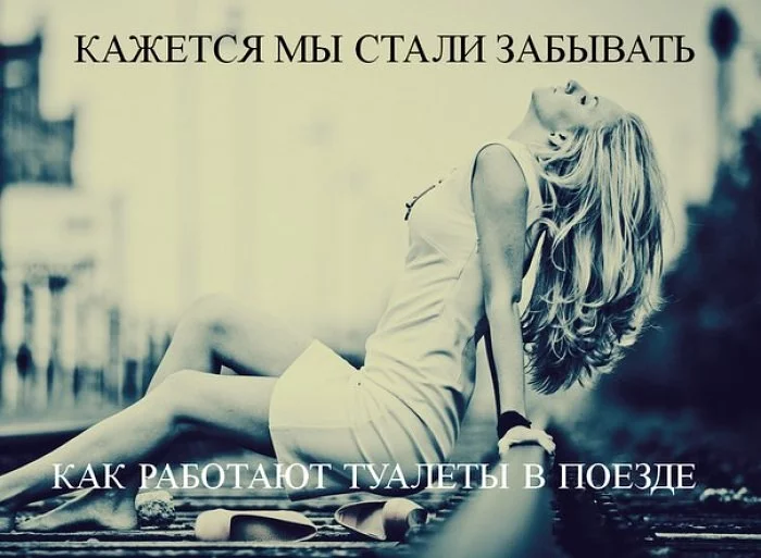 fbfc8a.webp
