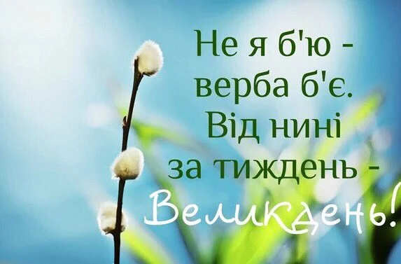 fbffa2.webp