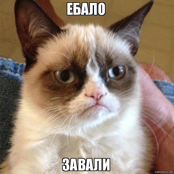 fbgfh6.jpg