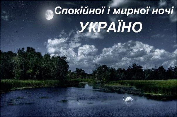 fbhf4g.webp