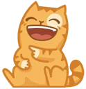 fbhh8h.webp