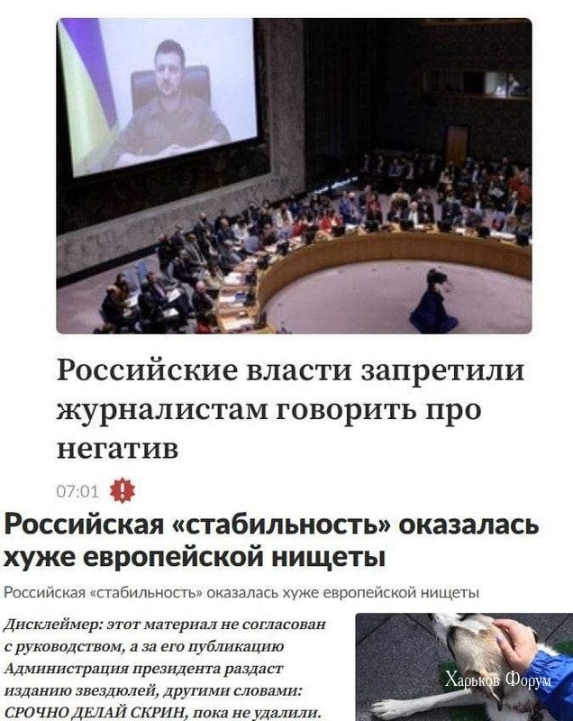 fc13e6e1f8d86a1f74.jpg