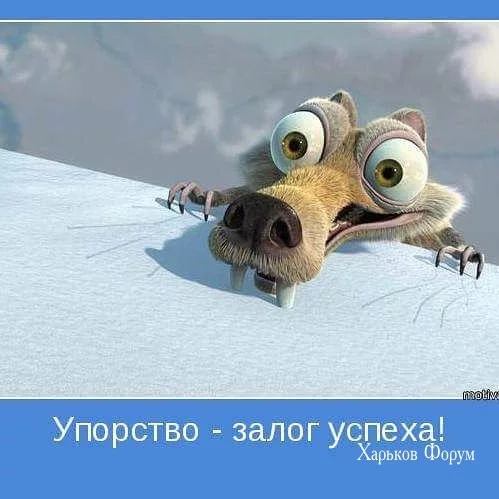 fc19cfc80d2e2552.webp