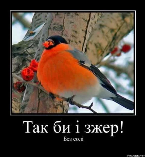 fc1cgb.webp