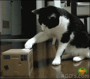 fc1jae.gif