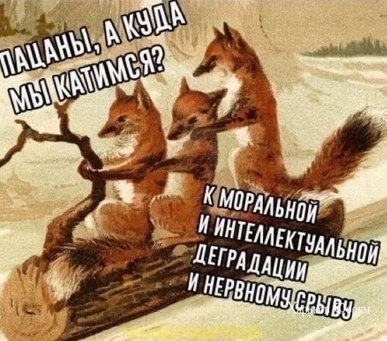 fc22c7c12ab1f89099e.webp