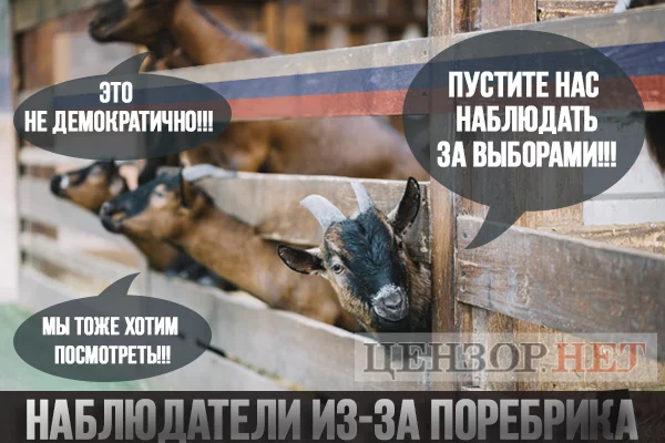 fc2bbh.webp
