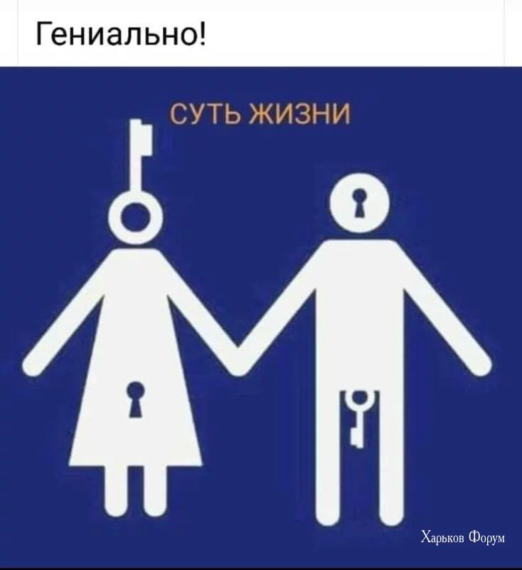 fc2c6b128848dd7bd569b.webp