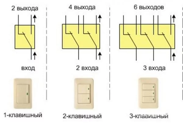 fc2ed3c8ce5d5d1c82.webp