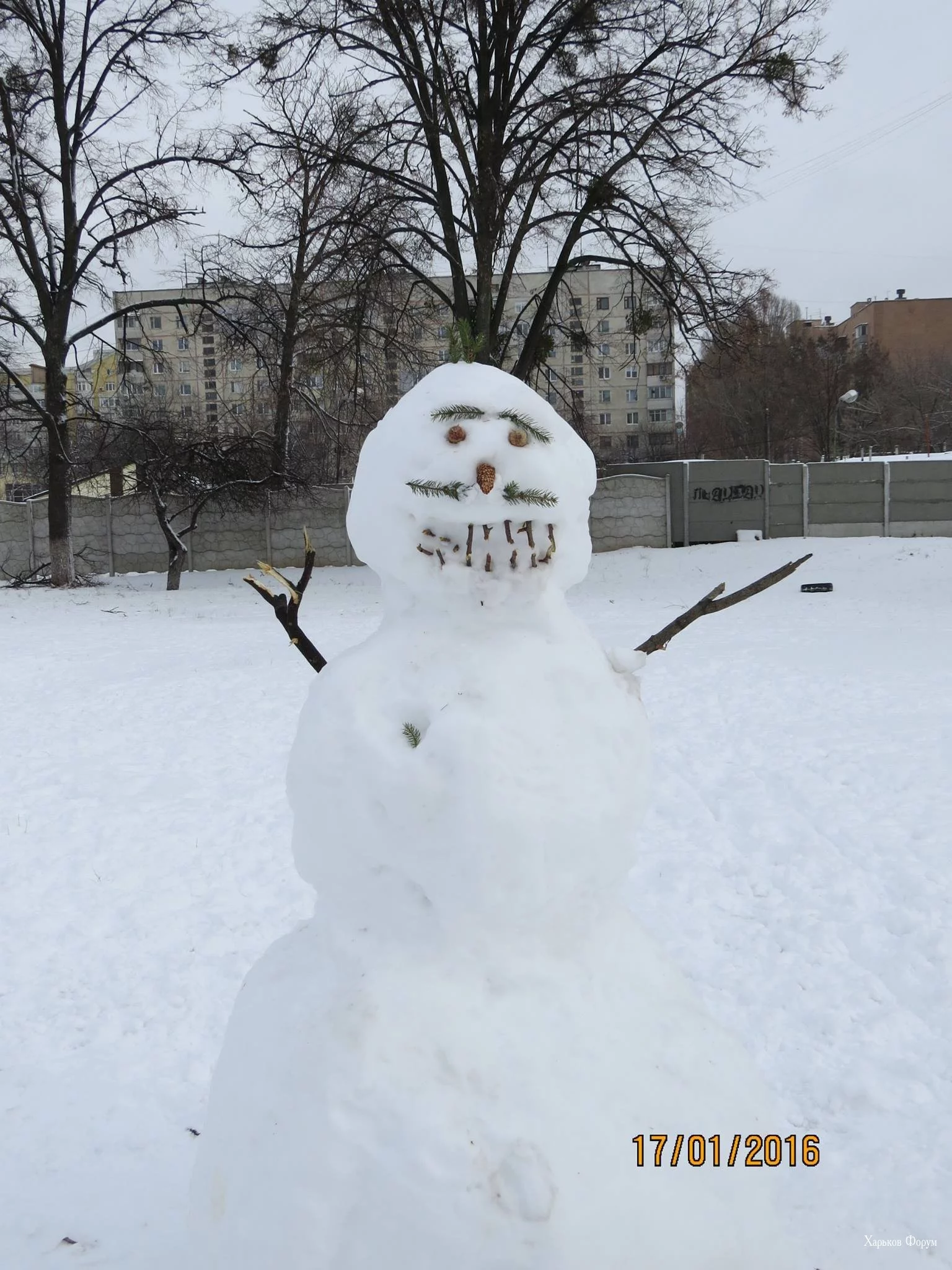fc3799d15d3e1fb304.webp