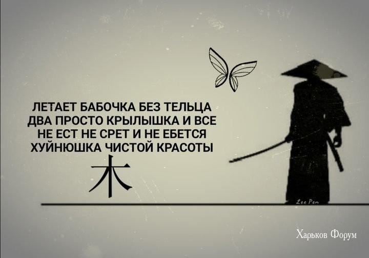 fc3854b87ca806e151c.jpg