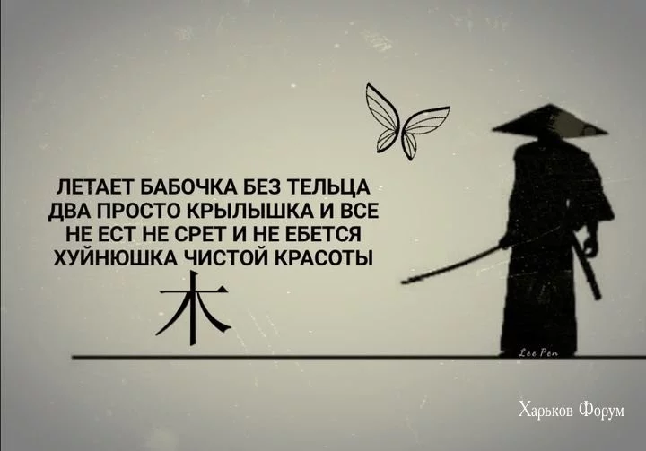 fc3854b87ca806e151c.webp