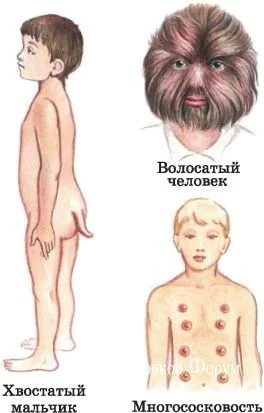 fc386ff486fcc8ff4d2b.webp