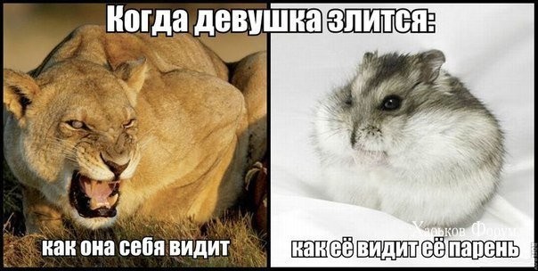 fc3a1d3cc4f4392dd92b859.jpg