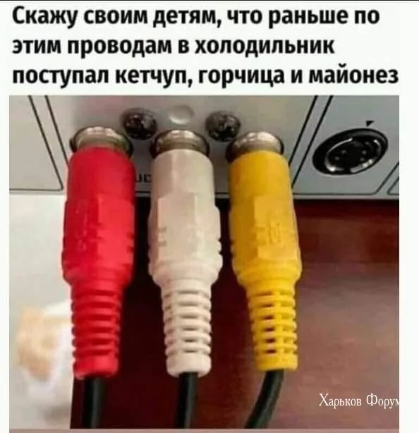fc50e715a4e48a9ef75b56ec.webp