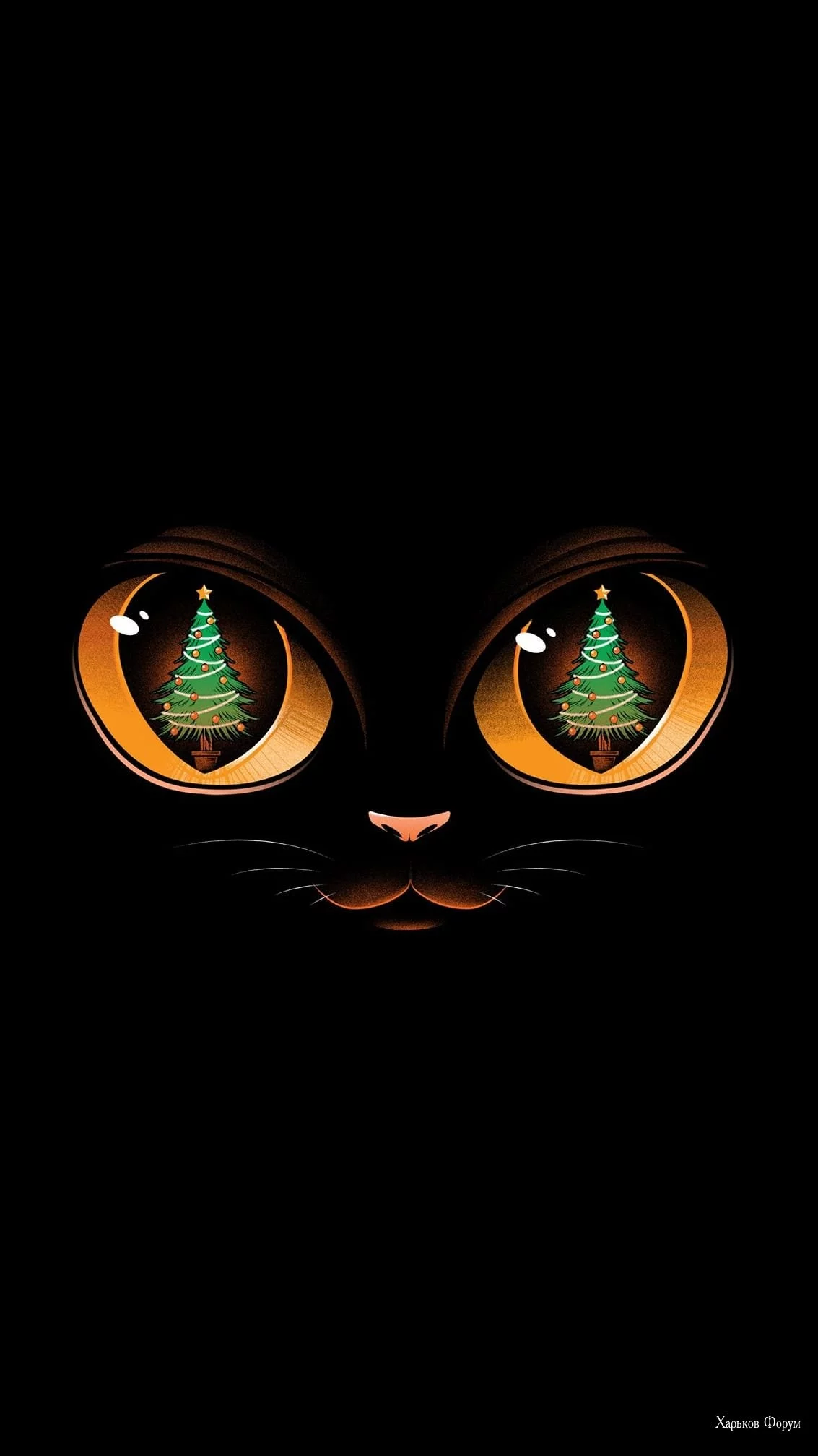 fc60642209bd8b95f4.webp