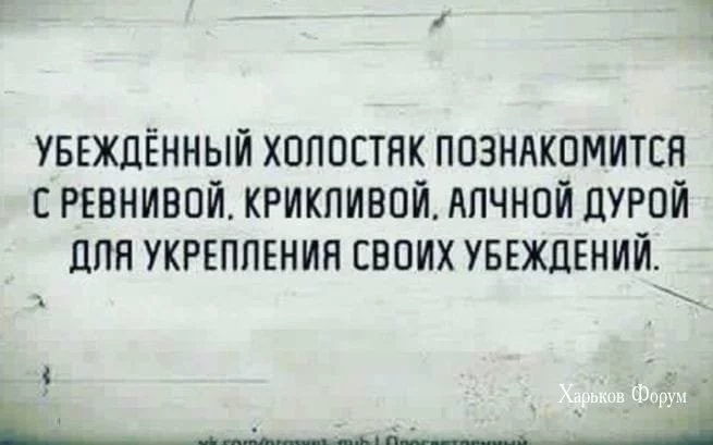 fc6690d38a0e320dea.webp