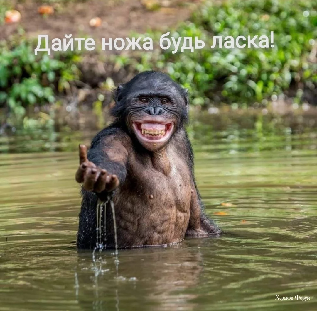 fc6aed1b5c71f4272932ff.webp