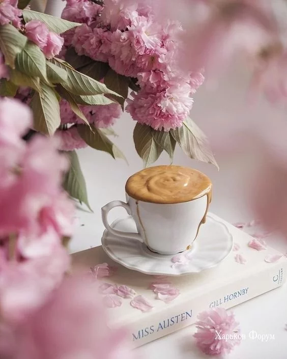 fc779f2ca3e644af96.webp