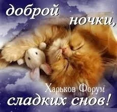 fc784b3e6e849062.webp